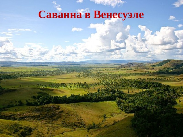 Саванна в Венесуэле