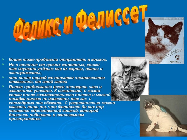 Кошек тоже пробовали отправлять в космос.   Но в отличие от прочих животных, кошки так спутали учёным все их карты, планы и эксперименты,  что после первой же попытки человечество отказалось от этой затеи Полет продолжался всего четверть часа и закончился успешно. К сожалению, о жизни кошки после знаменательного полета и мягкой посадки ничего не известно, так как  с космодрома она сбежала.  С уверенностью можно сказать лишь то, что Фелисетт до сих пор является единственной кошкой, которой довелось побывать в околоземном пространстве.