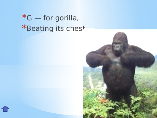 G — for gorilla, Beating its chest. Gg