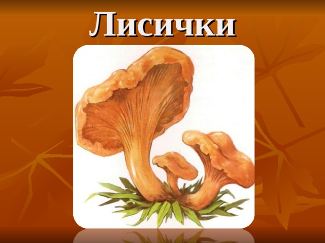 Лисички