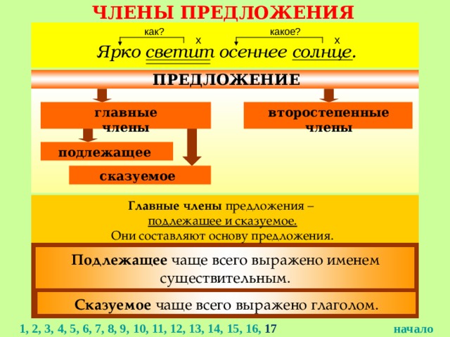 ЧЛЕНЫ ПРЕДЛОЖЕНИЯ как? какое? Ярко светит осеннее солнце. ПРЕДЛОЖЕНИЕ второстепенные члены главные члены подлежащее сказуемое Главные члены предложения – подлежащее и сказуемое. Они составляют основу предложения. Подлежащее чаще всего выражено именем существительным. Сказуемое чаще всего выражено глаголом. 1, 2, 3, 4, 5, 6, 7, 8, 9, 10, 11, 12, 13, 14, 15, 16, 17  начало