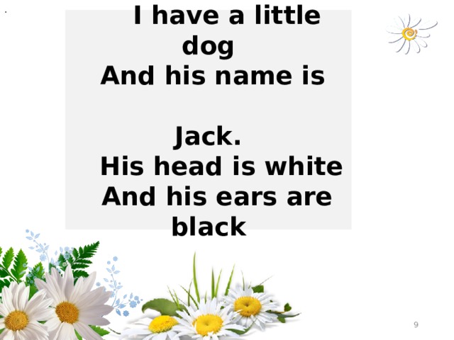 .  I have a little dog  And his name is Jack.  His head is white  And his ears are black