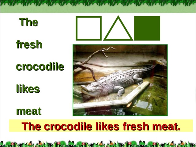 The  fresh  crocodile  likes  meat  The crocodile likes fresh meat. 13