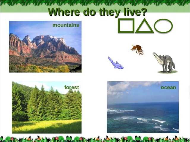 Where do they live? mountains forest ocean
