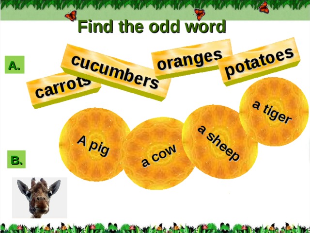 A pig  a cow  a sheep a tiger   carrots   cucumbers   oranges   potatoes   Find the odd word А. B . 3