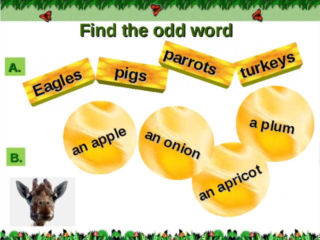an apple  a plum  an apricot  an onion  Eagles  pigs  parrots  turkeys  Find the odd word А. B . 3