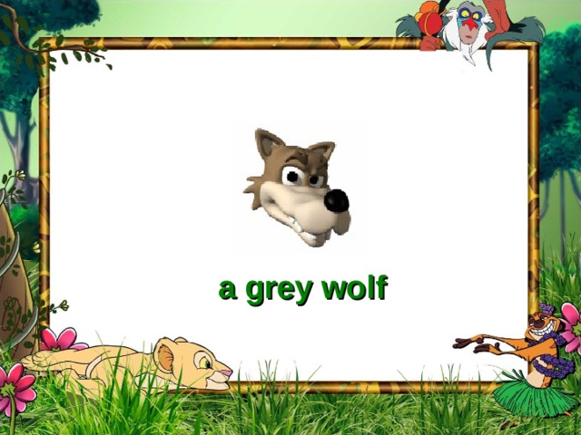 Guess the animal A 1 B 2 f k 3 C 4 i a D s b r a p b d c w o l a grey wolf f