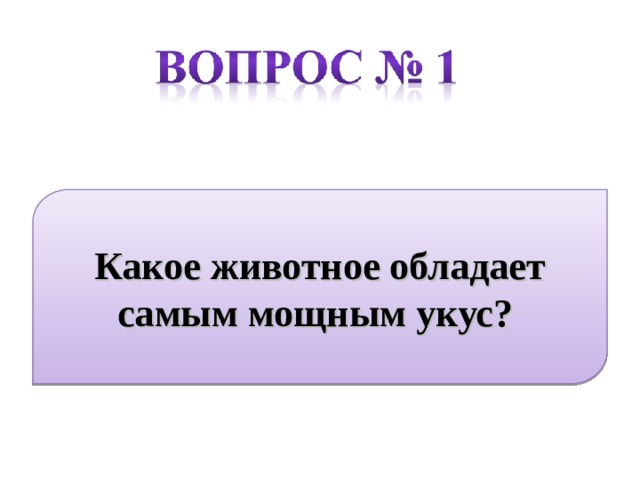 Какое животное обладает самым мощным укус?