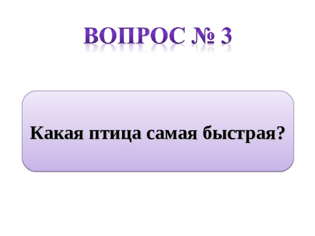 Какая птица самая быстрая?