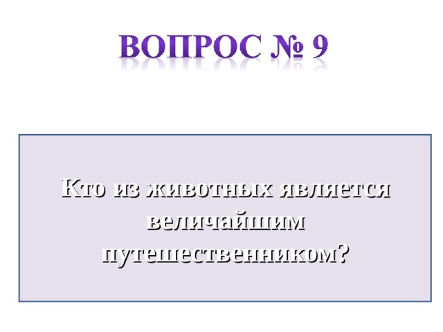 Кто из животных является величайшим путешественником?