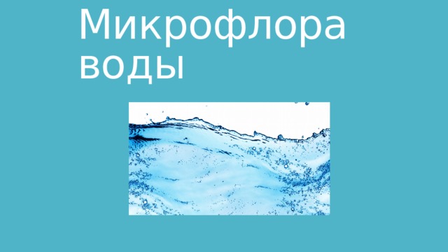 Микрофлора воды