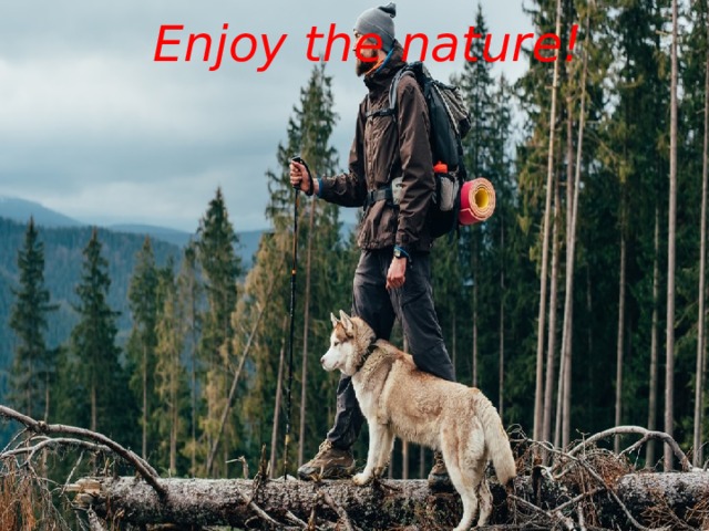 Enjoy the nature!