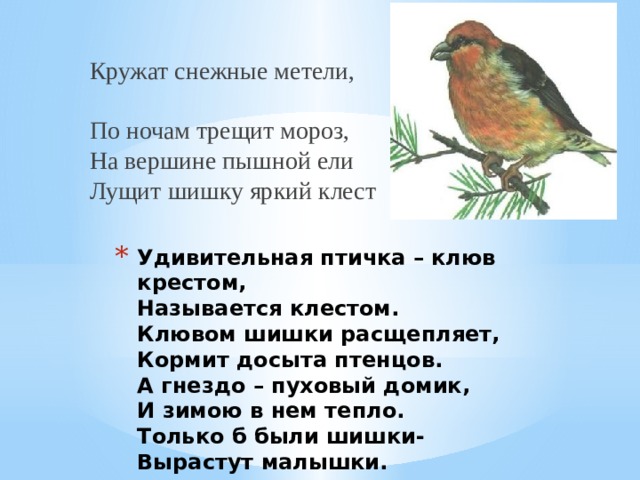 Кружат снежные метели,  По ночам трещит мороз,  На вершине пышной ели  Лущит шишку яркий клест