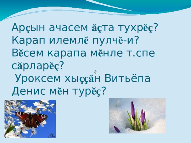 Ар ç ын ачасем ӑç та тухр ӗç ?  Карап илемл ӗ пулч ӗ -и ?  В ӗ сем карапа м ӗ нле т.спе с ӑ рлар ӗç ?  Уроксем хы ççӑ н Витьёпа Денис м ӗ н тур ӗç ?      ӗ