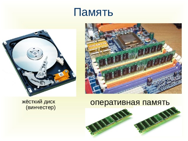 Память оперативная память  жёсткий диск (винчестер)
