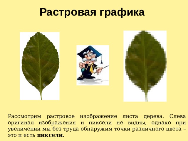 Растровая графика Рассмотрим растровое изображение листа дерева. Слева оригинал изображения и пиксели не видны, однако при увеличении мы без труда обнаружим точки различного цвета – это и есть пиксели .