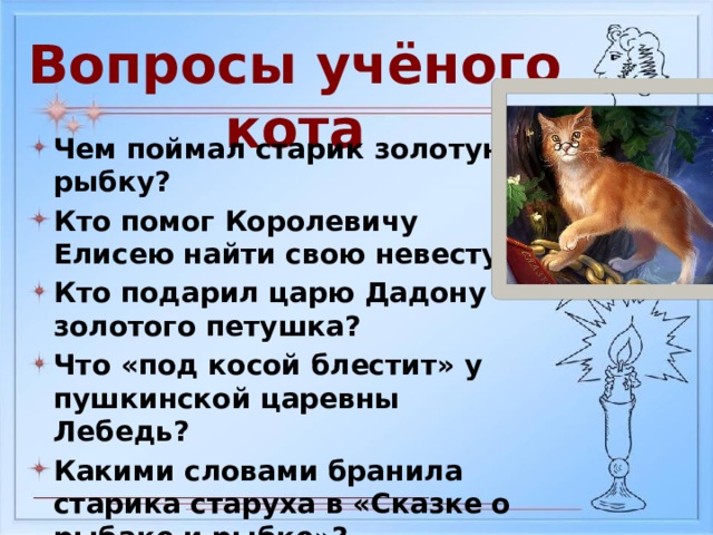 Вопросы учёного кота
