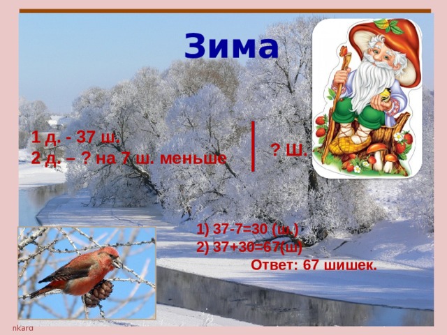 Зима 1 д. - 37 ш. 2 д. – ? на 7 ш. меньше ? Ш. 37-7=30 (ш.) 37+30=67(ш)  Ответ: 67 шишек.