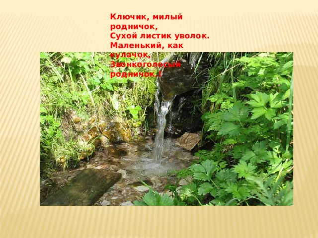 Ключик, милый родничок,  Сухой листик уволок.  Маленький, как кулачок,  Звонкоголосый родничок.!