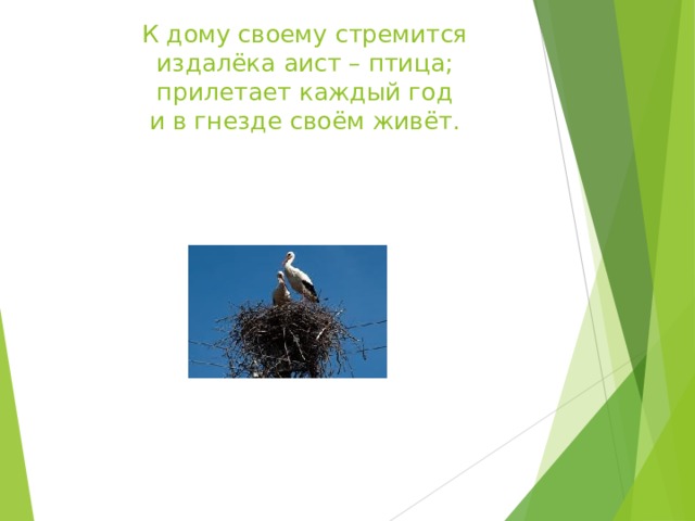 К дому своему стремится  издалёка аист – птица;  прилетает каждый год  и в гнезде своём живёт.