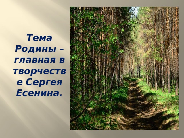 Тема Родины – главная в творчестве Сергея Есенина.