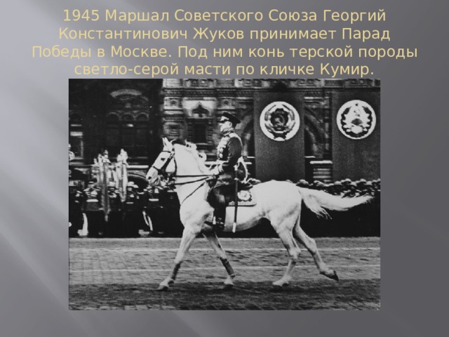1945 Маршал Советского Союза Георгий Константинович Жуков принимает Парад Победы в Москве. Под ним конь терской породы светло-серой масти по кличке Кумир.