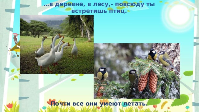 … в деревне, в лесу,- повсюду ты встретишь птиц. Почти все они умеют летать.