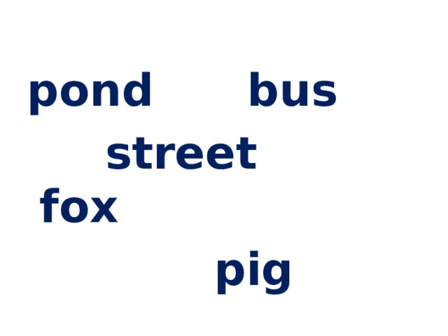 pond bus  street fox  pig