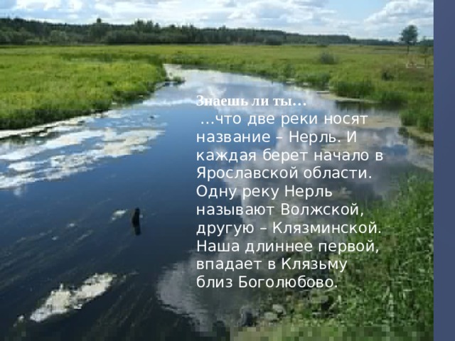 Знаешь ли ты…  … что две реки носят название – Нерль. И каждая берет начало в Ярославской области. Одну реку Нерль называют Волжской, другую – Клязминской. Наша длиннее первой, впадает в Клязьму близ Боголюбово.