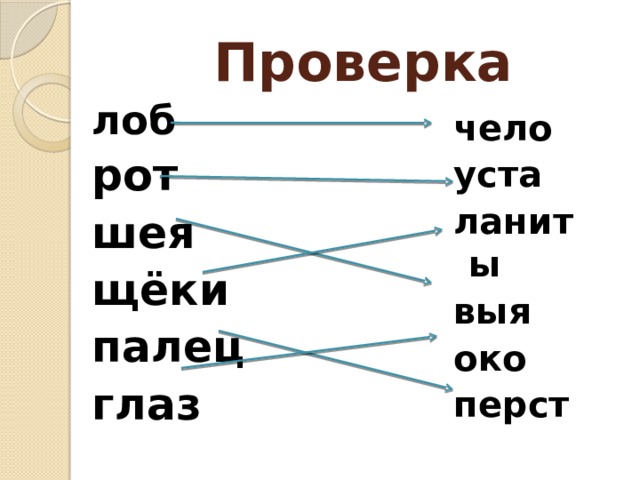 Проверка лоб рот шея щёки палец глаз чело уста ланиты выя око перст