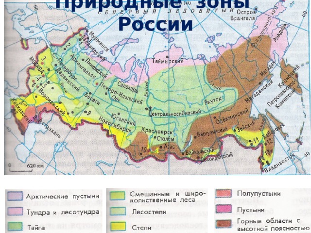 Природные зоны России