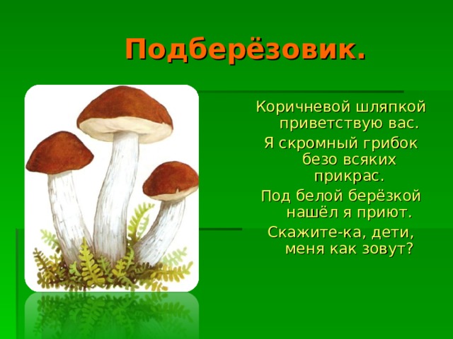 Подберёзовик. Коричневой шляпкой приветствую вас. Я скромный грибок безо всяких прикрас. Под белой берёзкой нашёл я приют. Скажите-ка, дети, меня как зовут?