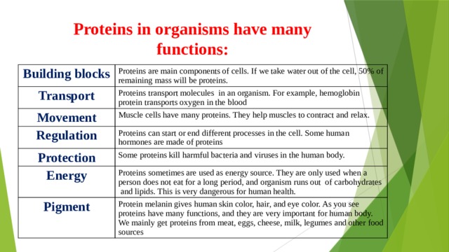 Proteins in organisms have many functions: Building blocks Proteins are main components of cells. If we take water out of the cell, 50% of remaining mass will be proteins. Transport Proteins transport molecules in an organism. For example, hemoglobin protein transports oxygen in the blood Movement Muscle cells have many proteins. They help muscles to contract and relax. Regulation Proteins can start or end different processes in the cell. Some human hormones are made of proteins Protection Some proteins kill harmful bacteria and viruses in the human body. Energy Proteins sometimes are used as energy source. They are only used when a person does not eat for a long period, and organism runs out of carbohydrates and lipids. This is very dangerous for human health. Pigment Protein melanin gives human skin color, hair, and eye color. As you see proteins have many functions, and they are very important for human body. We mainly get proteins from meat, eggs, cheese, milk, legumes and other food sources