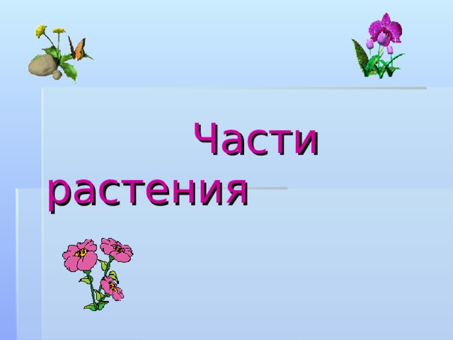 Части растения