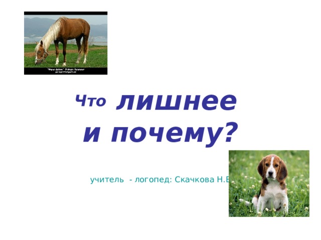 Что лишнее  и почему? учитель - логопед: Скачкова Н.В