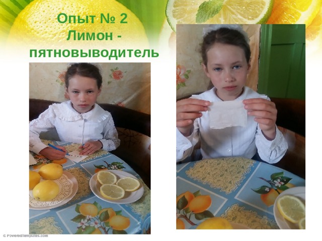 Опыт № 2  Лимон - пятновыводитель
