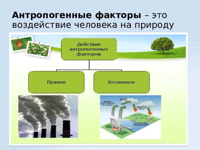 Антропогенные факторы – это воздействие человека на природу