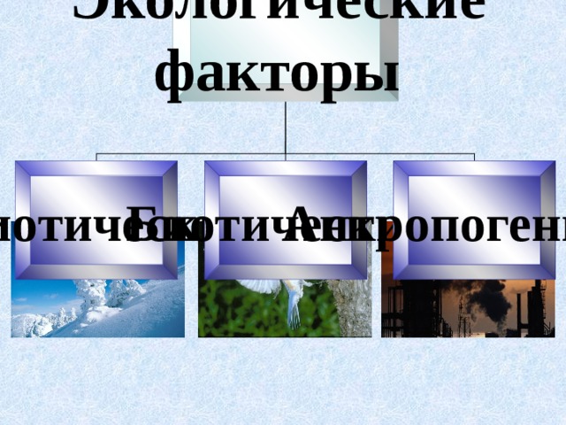 Экологические факторы  Абиотический Биотический  Антропогенный