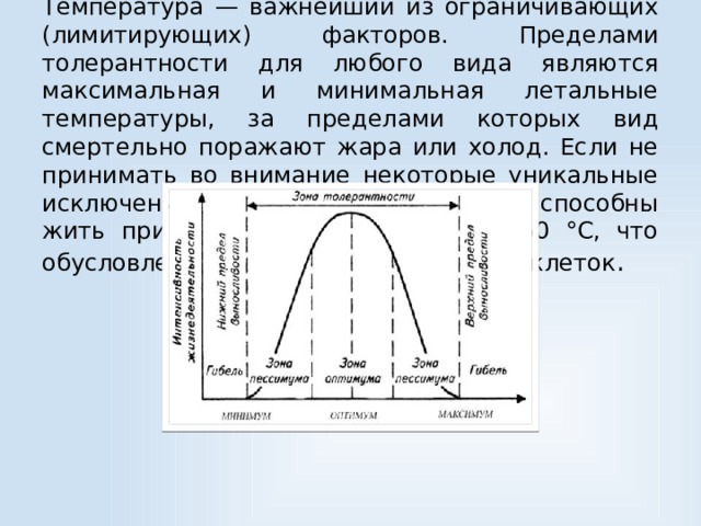 Температура — важнейший из ограничивающих (лимитирующих) факторов. Пределами толерантности для любого вида являются максимальная и минимальная летальные температуры, за пределами которых вид смертельно поражают жара или холод. Если не принимать во внимание некоторые уникальные исключения, все живые существа способны жить при температуре между 0 и 50 °С, что обусловлено свойствами протоплазмы клеток .