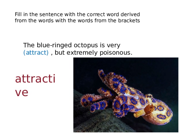 Fill in the sentence with the correct word derived from the words with the words from the brackets The blue-ringed octopus is very (attract) , but extremely poisonous. attractive