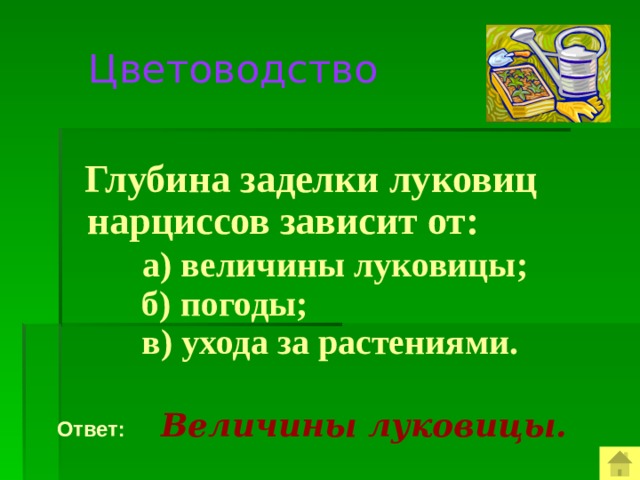 Цветоводство  Глубина заделки луковиц нарциссов зависит от:  а) величины луковицы;  б) погоды;  в) ухода за растениями.  Ответ:  Величины луковицы.