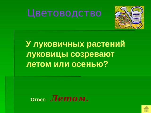 Цветоводство  У луковичных растений луковицы созревают летом или осенью?  Ответ:  Летом.