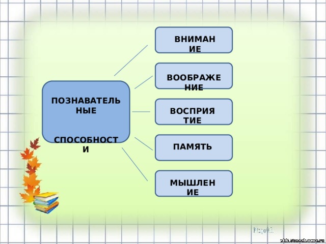 ВНИМАНИЕ ВООБРАЖЕНИЕ ПОЗНАВАТЕЛЬНЫЕ   СПОСОБНОСТИ ВОСПРИЯТИЕ ПАМЯТЬ МЫШЛЕНИЕ