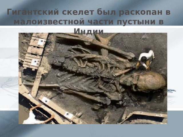 Гигантский скелет был раскопан в малоизвестной части пустыни в Индии