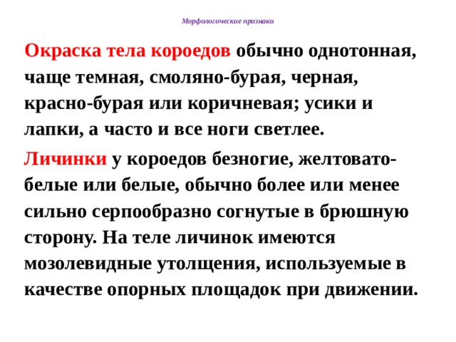 Морфологические признаки Окраска тела короедов обычно однотонная, чаще темная, смоляно-бурая, черная, красно-бурая или коричневая; усики и лапки, а часто и все ноги светлее. Личинки у короедов безногие, желтовато-белые или белые, обычно более или менее сильно серпообразно согнутые в брюшную сторону. На теле личинок имеются мозолевидные утолщения, используемые в качестве опорных площадок при движении.