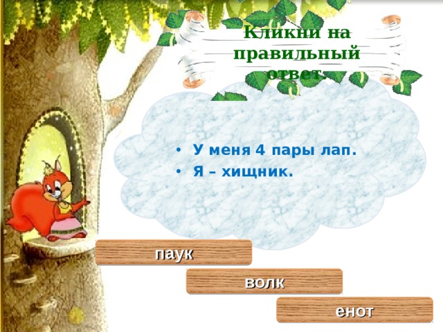 Кликни на правильный ответ. У меня 4 пары лап. Я – хищник. паук волк енот