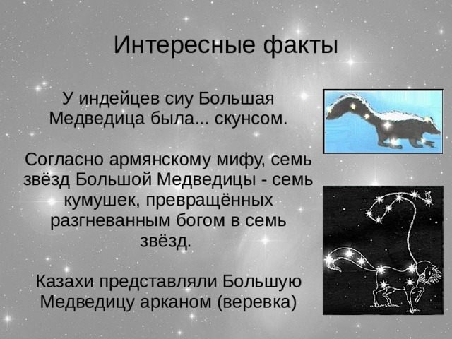 Интересные факты У индейцев сиу Большая Медведица была... скунсом. Согласно армянскому мифу, семь звёзд Большой Медведицы - семь кумушек, превращённых разгневанным богом в семь звёзд. Казахи представляли Большую Медведицу арканом (веревка)