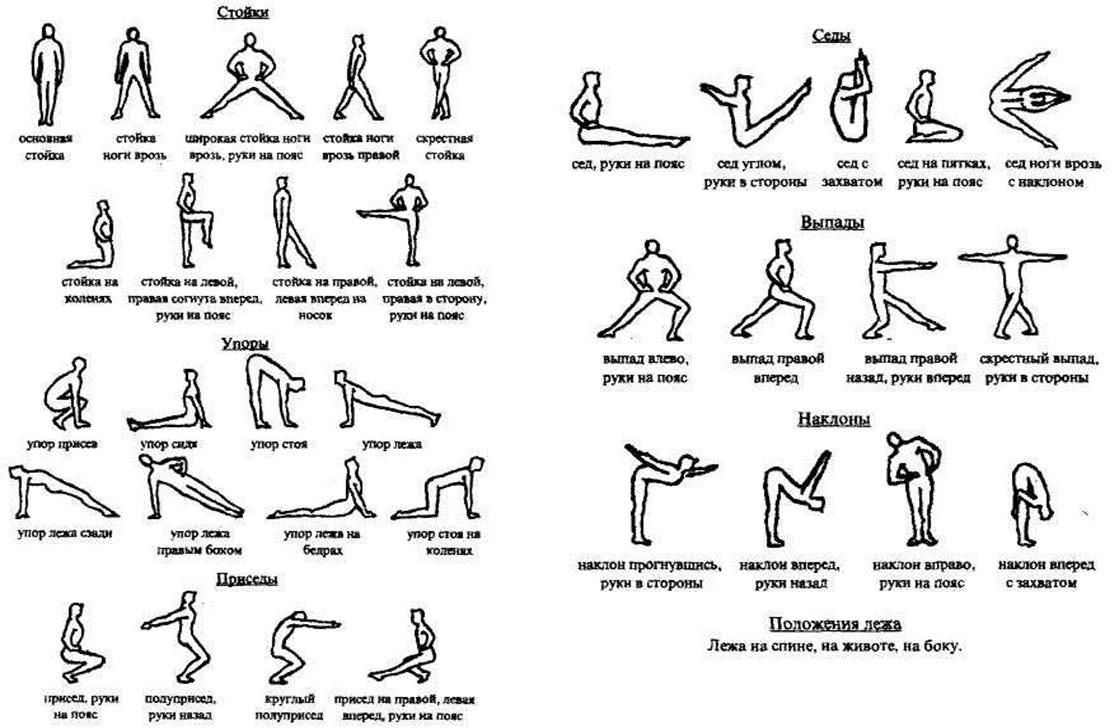 Упражнения 5 элементов. Комплекс упражнений по физкультуре 6 класс 12 упражнений. Упражнения гимнастики для урока физры. Разминка на уроке физры список упражнений по физкультуре. Упражнения по гимнастике с описанием движений.