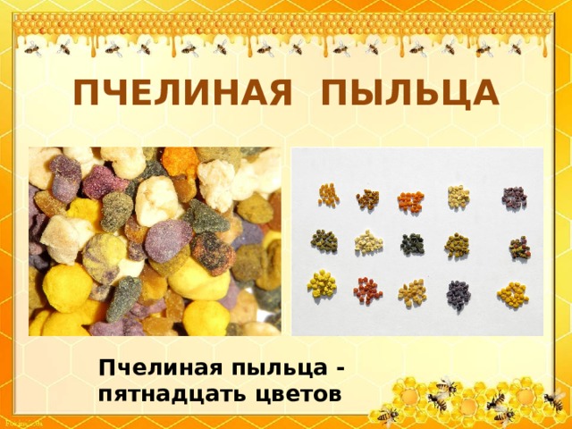 ПЧЕЛИНАЯ ПЫЛЬЦА Пчелиная пыльца - пятнадцать цветов