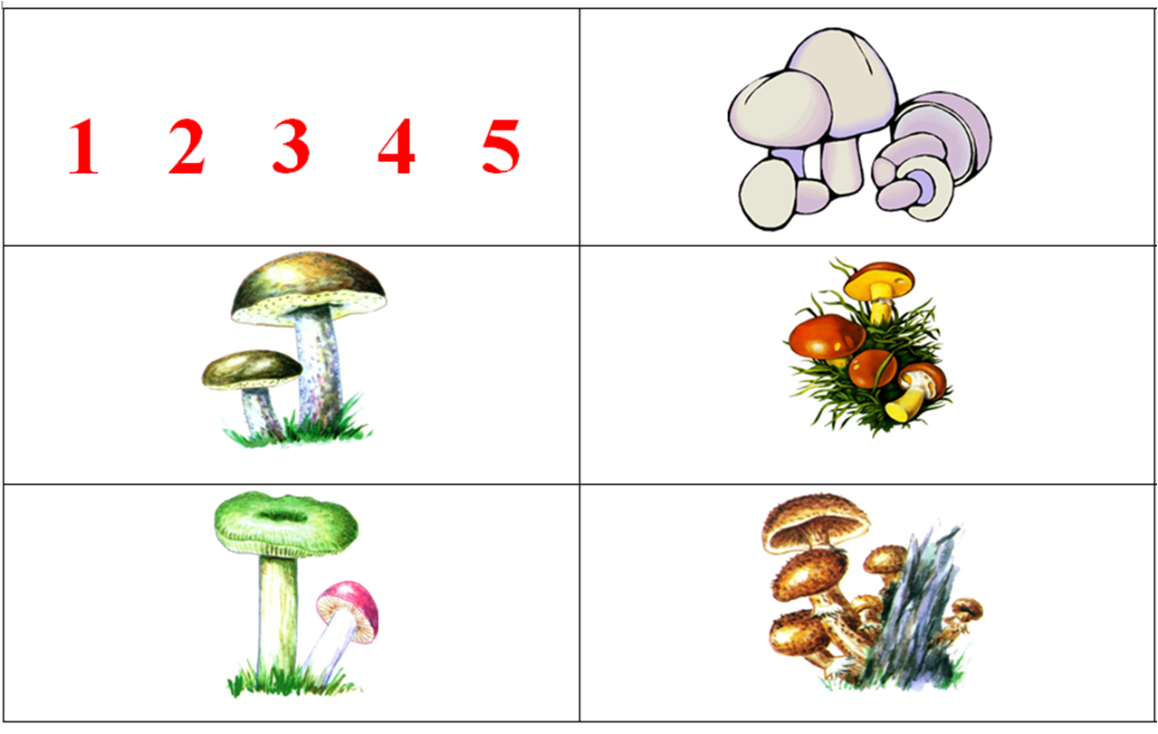Собери картинку гриб. Мнемотаблицы грибы. Мнемотаблица на тему грибы. Мнемотаблица грибы ягоды. Мнемотаблицы по грибам и ягодам.